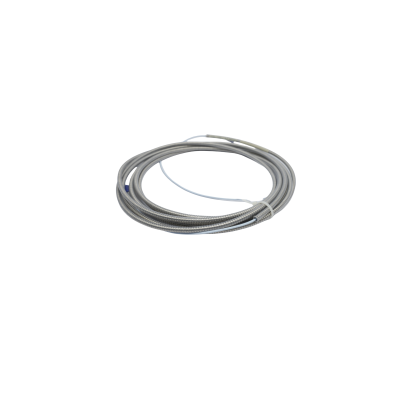 Bently Nevada | 330930-065-01-01 | 3300 NSv Extension Cable