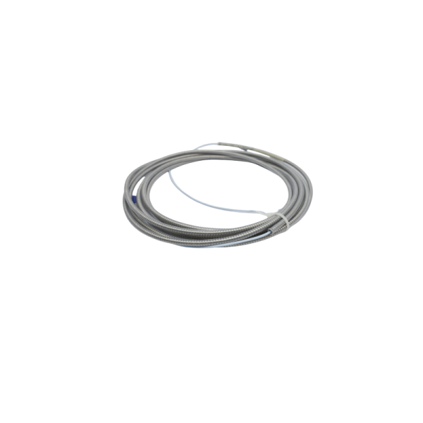 Bently Nevada | 330930-065-01-01 | 3300 NSv Extension Cable