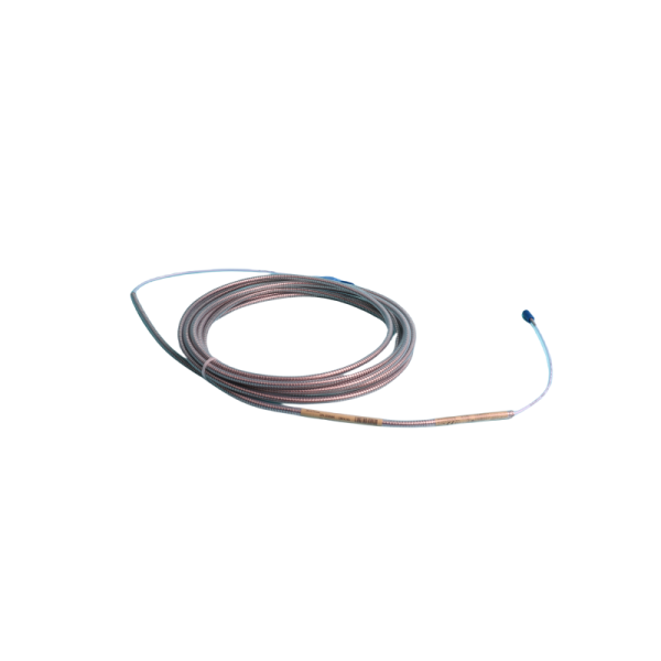 Bently Nevada | 330930-065-04-00 | 3300 NSv Extension Cable