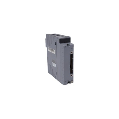 YOKOGAWA | AAB841 | Analog Input/Output Module