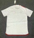 24-25 St. Louis City SC Away Fans Soccer Jersey