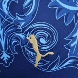 22-23 Italy Special Edition Fans Soccer Jersey