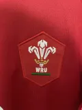 2024 High Quality Rugby Jersey 