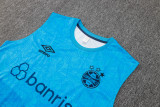 24-25 Gremio High Quality Tank Top And Shorts Suit