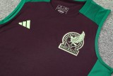 24-25 Mexico High Quality Tank Top And Shorts Suit