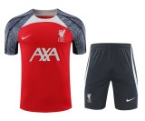 24-25 LIV High Quality Training Short Suit