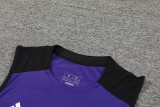 24-25 Germany High Quality Tank Top And Shorts Suit