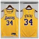 24-25 Lakers O'Neal #34 Yellow Top Quality Hot Pressing NBA Jersey(圆领)