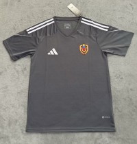 25-26 Venezuela Gray Special Edition Fans Soccer Jersey