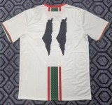 25-26 Palestine White Special Edition Fans Soccer Jersey