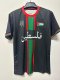 25-26 Palestine Special Edition Fans Soccer Jersey