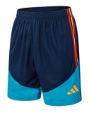 2026 AD Blue High Quality Player Version Training Short Suit (球员套装)