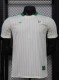 25-26 Algeria Casual Version Player Version Soccer Jersey