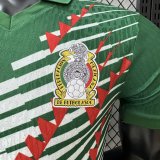 2026 Mexico Special Edition Player Version Soccer Jersey