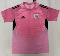 2026 Spain Pink GoalKeeper Fans Soccer Jersey 2026 Spain Pink GoalKeeper Fans Soccer Jersey