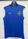 26-27 Fluminense Blue Vest