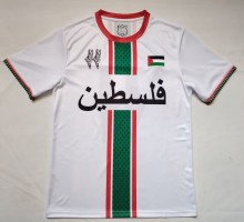 26-27 Palestine Special Edition Fans Soccer Jersey