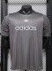 2026 AD Grey Player Version Training shirts