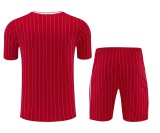 26-27  LIV High Quality Training Short Suit