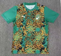 26-27 Cote d'Ivoire Green Special Edition Fans Soccer Jersey 26-27 Cote d'Ivoire Green Special Edition Fans Soccer Jersey