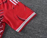 26-27  LIV High Quality Training Short Suit