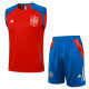 24-25 Spain High Quality Tank Top And Shorts Suit