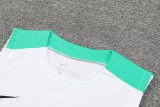 24-25 Portugal High Quality Tank Top And Shorts Suit
