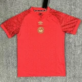 24-25 Bournemouth Red Special Edition Fans Soccer Jersey