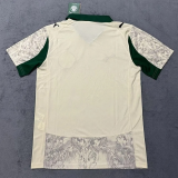 25-26 Palmeiras Third Fans Soccer Jersey