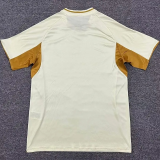 25-26 New England Revolution Beige Training shirts