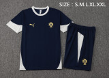 25-26 Portugal High Quality Training Short Suit
