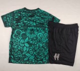 25-26 Palestine Green Fans Kids Soccer Jersey 1:1 Thai Quality