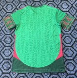 25-26 Mexico Green Special Edition Fans Training shirts