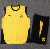 25-26 Dortmund High Quality Tank Top And Shorts Suit