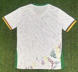 25-26 Cameroon Away Fans Soccer Jersey