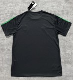 25-26 JAMAICA Special Edition Fans Soccer Jersey
