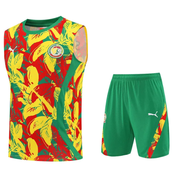25-26 Senegal High Quality Tank Top And Shorts Suit