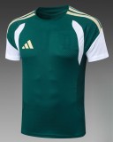 2026 AD Green High Quality Player Version Training Short Suit (球员套装)
