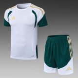 2026 AD White High Quality Player Version Training Short Suit (球员套装)