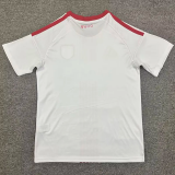 2026 Toronto FC Away Fans Soccer Jersey
