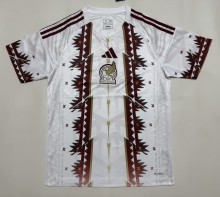 26-27 Mexico White Special Edition Fans Training shirts