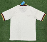 2026 World Cup Spain Away Fans Soccer Jersey (With 2 Star)*两颗星