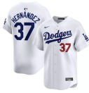 2026 MLB Los Angeles Dodgers New Pattern Jersey 2026 MLB Los Angeles Dodgers New Pattern Jersey