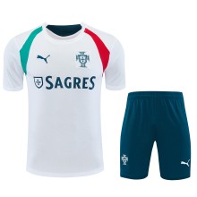 26-27 Portugal High Quality Training Short Suit