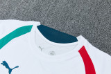 26-27 Portugal High Quality Training Short Suit