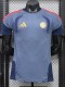 26-27 Bayern Player Version Training shirts