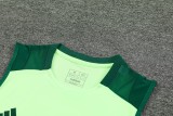 24-25 Mexico High Quality Tank Top And Shorts Suit