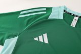 2024 AD Green Training Short Suit