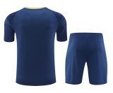 24-25 Palmeiras High Quality Training Short Suit