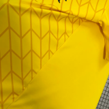 24-25 Colo-Colo Yellow GoalKeeper Fans Soccer Jersey